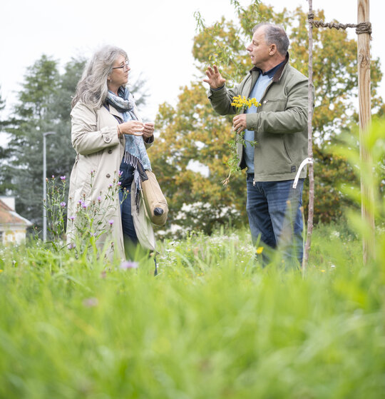Zwei Menschen auf einer grünen Wiese