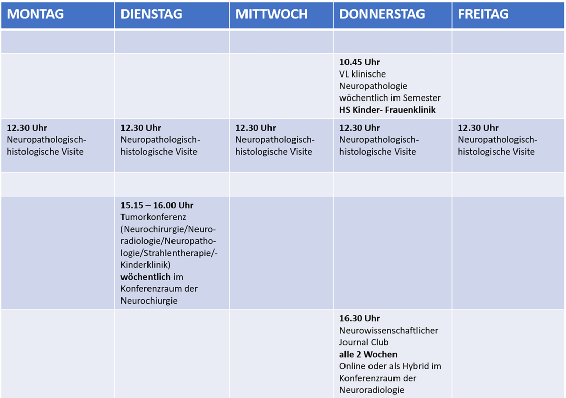 Übersichtsplan Studium & Lehre