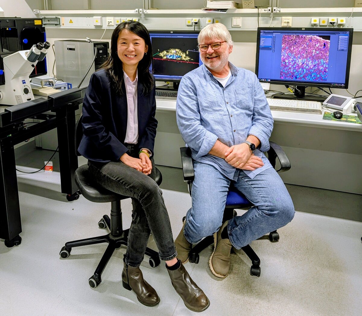 Immunzellen im Kampf gegen Krebs: Neuer Mechanismus entdeckt ...
