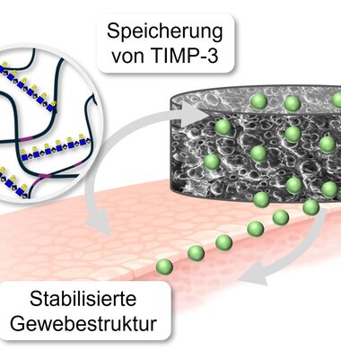 Schema Hydrogel