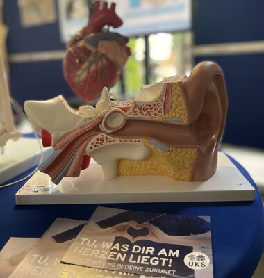 USK Schulzentrum Ausbildungsmesse November 2025